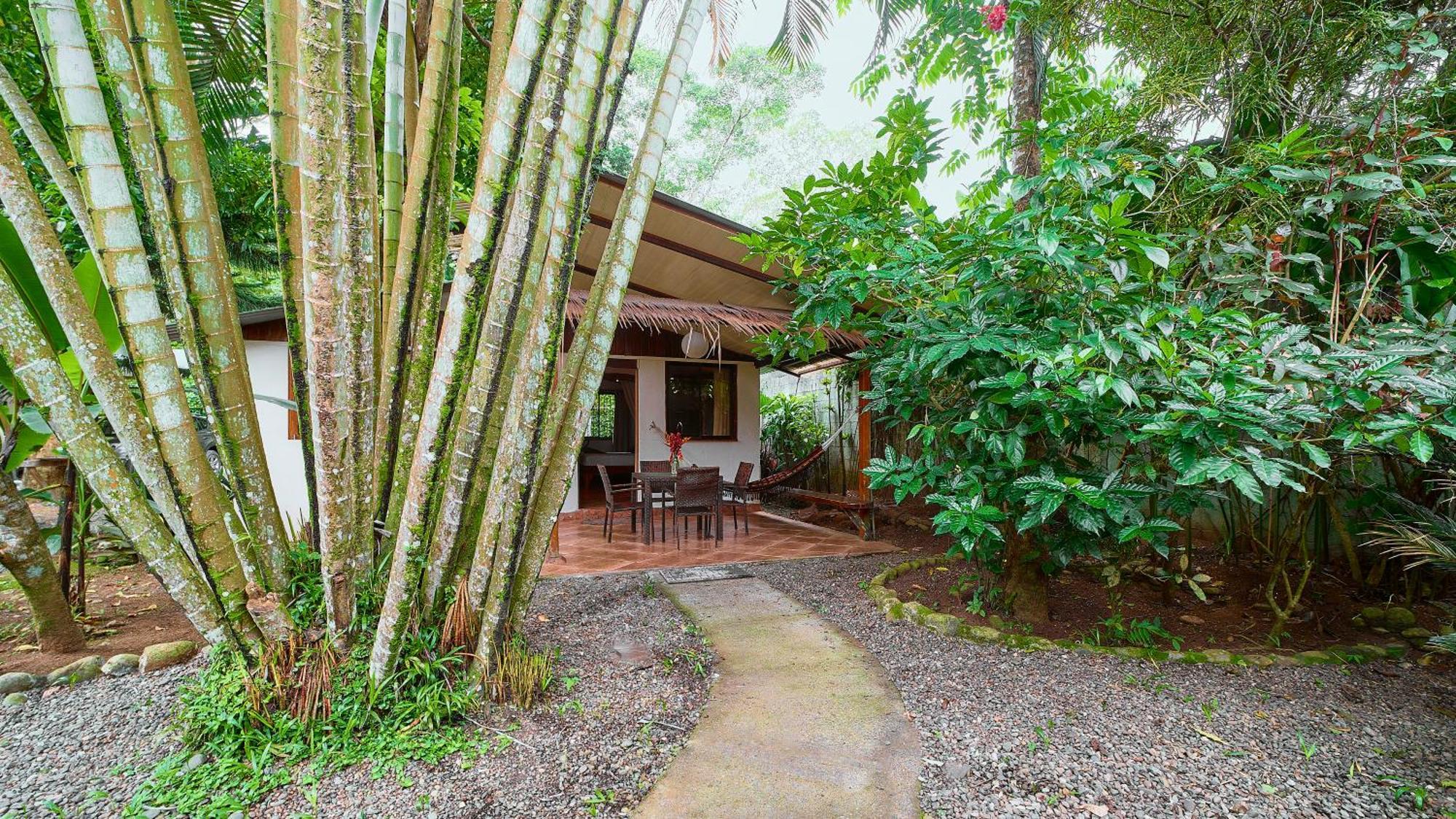 Cabinas Montesol Puerto Viejo de Talamanca Kültér fotó