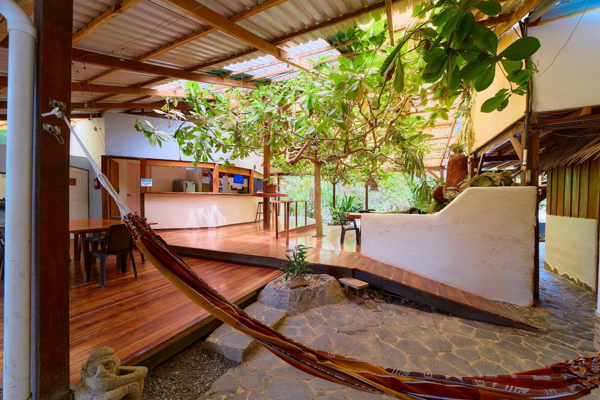 Cabinas Montesol Puerto Viejo de Talamanca Kültér fotó